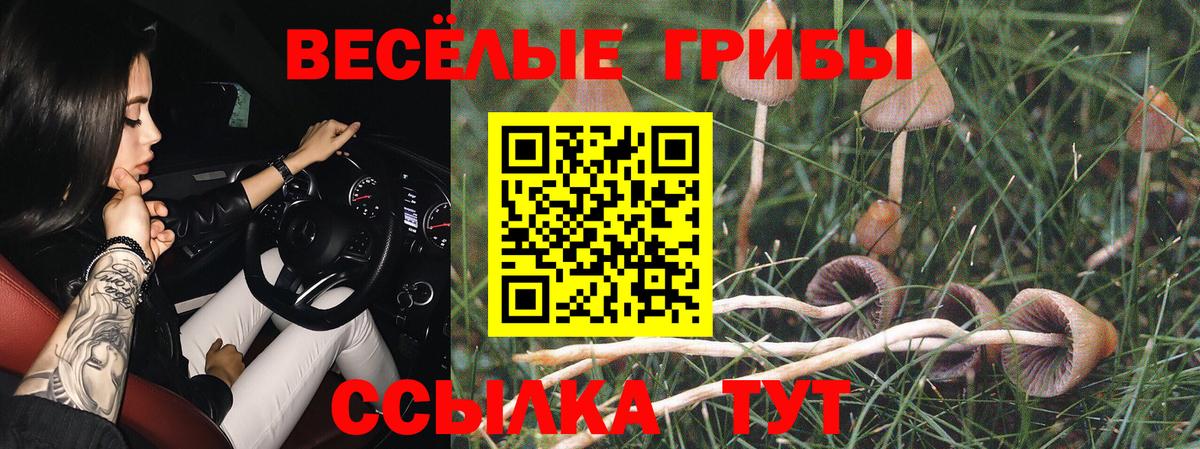 Галлюциногенные грибы Magic Shrooms  Вход с VPN  Губкинский  Галлюциногенные грибы MAGIC MUSHROOMS 