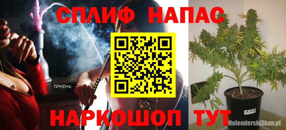 Каннабис OG Kush Губкинский